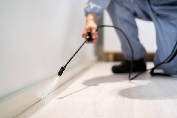 Professional exterminator conducting IPM assessment in Capitol View